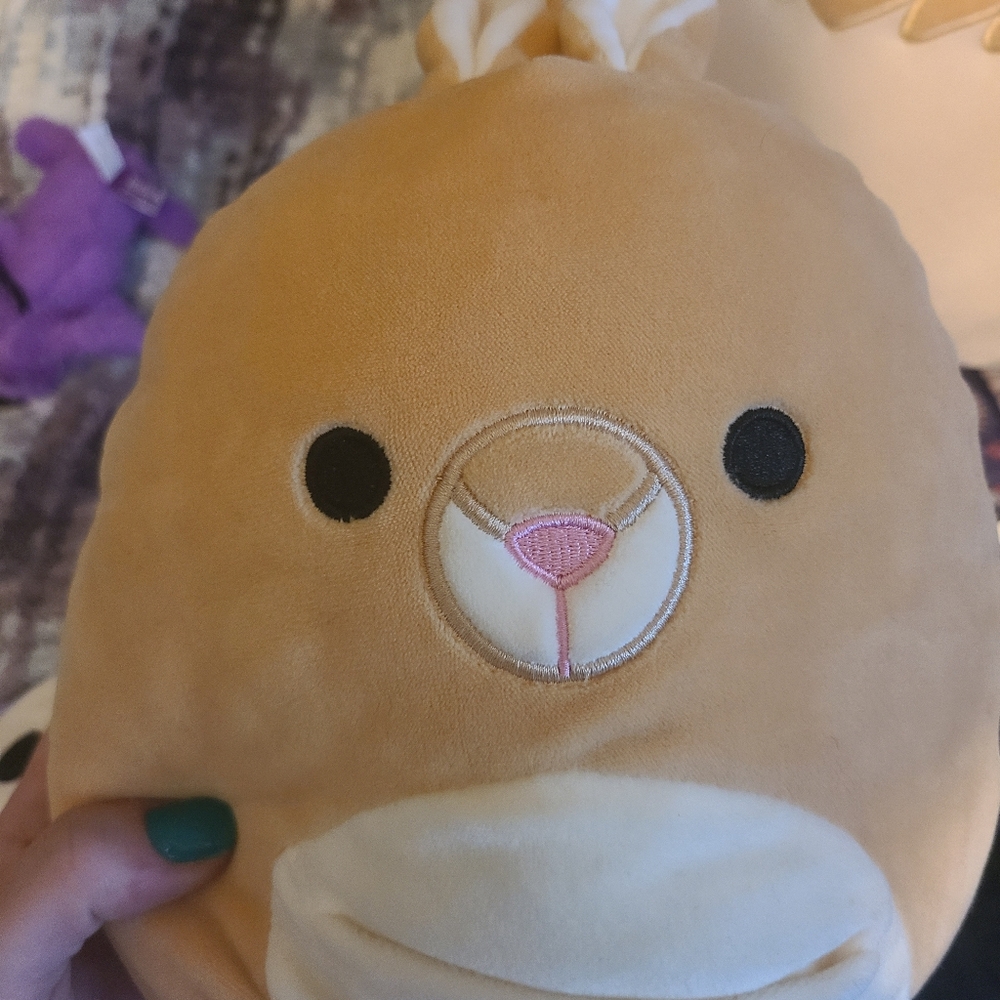 Squishmallow bundle - Picture 3 of 5